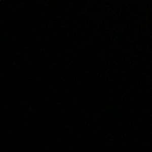 Meet your Posher, Brooklyn